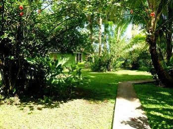 Bonjouir Lodge Paradise Teahupoo Zewnętrze zdjęcie